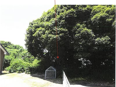 鹿児島県志布志市 志布志駅 土地 25万円の競売物件情報 #3