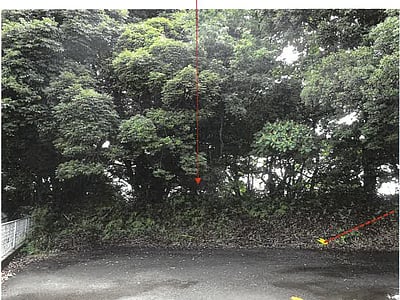 鹿児島県志布志市 志布志駅 土地 25万円の競売物件情報 #4