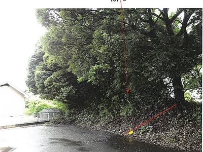 鹿児島県志布志市 志布志駅 土地 25万円の競売物件情報 #5