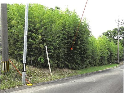 (値下げ) 鹿児島県志布志市 志布志駅 土地 170万2,000円の競売物件情報 #1