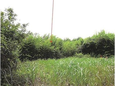 (値下げ) 鹿児島県志布志市 志布志駅 土地 170万2,000円の競売物件情報 #3