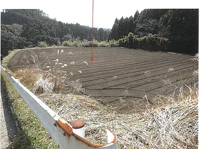 (値下げ) 鹿児島県志布志市 志布志駅 農地 47万2,000円の競売物件情報 #1