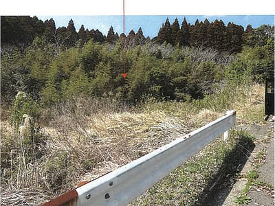 (値下げ) 鹿児島県志布志市 志布志駅 農地 47万2,000円の競売物件情報 #2
