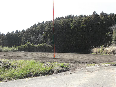 (値下げ) 鹿児島県志布志市 志布志駅 農地 47万2,000円の競売物件情報 #3