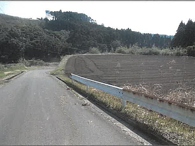 (値下げ) 鹿児島県志布志市 志布志駅 農地 47万2,000円の競売物件情報 #9