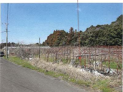 (値下げ) 鹿児島県志布志市 志布志駅 農地 52万8,000円の競売物件情報 #3