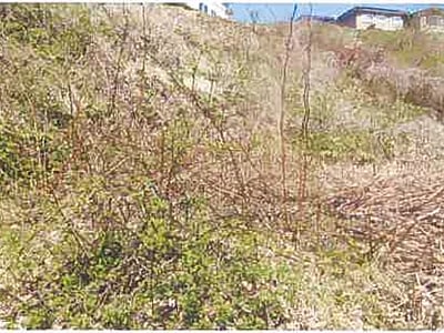 (値下げ) 北海道函館市 湯の川駅19分 土地 86万円の競売物件情報 #3
