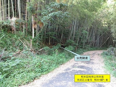 熊本県熊本市北区 西里駅19分 土地 29万円の国税庁公売物件情報 #1