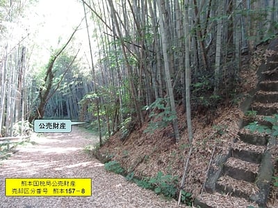 熊本県熊本市北区 西里駅19分 土地 29万円の国税庁公売物件情報 #2