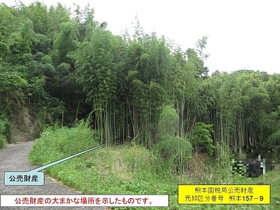 熊本県熊本市北区 西里駅19分 土地 65万円の国税庁公売物件情報 #3