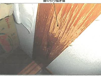 秋田県秋田市 追分駅4分 戸建て 343万6,000円の競売物件情報 #5