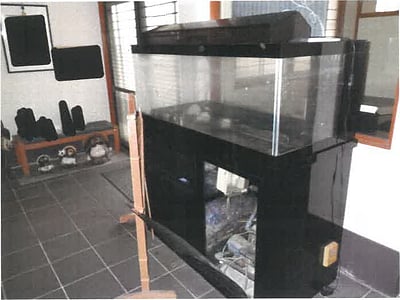 和歌山県西牟婁郡白浜町 白浜駅16分 戸建て 473万円の競売物件情報 #9