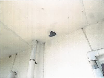 和歌山県西牟婁郡白浜町 白浜駅 戸建て 888万円の競売物件情報 #3