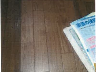 和歌山県西牟婁郡白浜町 白浜駅 戸建て 888万円の競売物件情報 #36