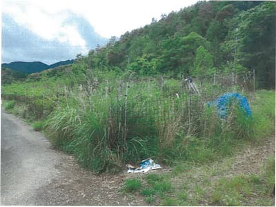 和歌山県田辺市 農地 47万円の競売物件情報 #1