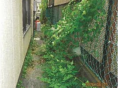 静岡県下田市 伊豆急下田駅12分 戸建て 1,567万円の競売物件情報 #6