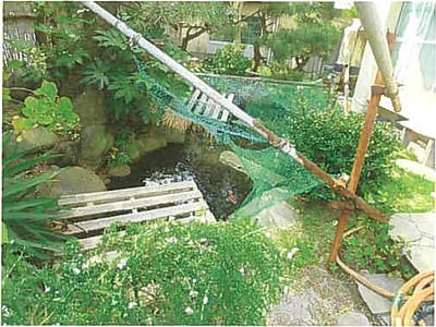 静岡県沼津市 沼津駅24分 戸建て 1,081万円の競売物件情報 #7