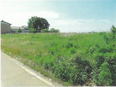 新潟県新潟市西蒲区 内野西が丘駅 土地 280万円の競売物件情報 #2