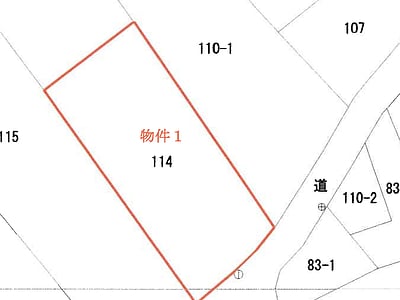新潟県北蒲原郡聖籠町 黒山駅28分 戸建て 280万円の競売物件情報 #7