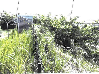 愛知県知多郡阿久比町 坂部駅9分 戸建て 1,013万円の競売物件情報 #12