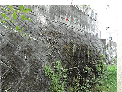 鹿児島県鹿児島市 仙巌園駅 戸建て 527万円の競売物件情報 #3