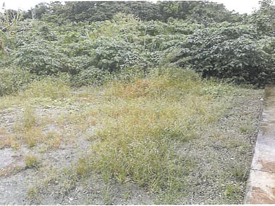 沖縄県八重山郡竹富町 戸建て 893万円の競売物件情報 #5