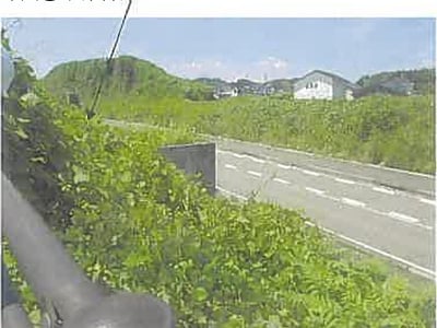大分県大分市 大在駅7分 土地 786万円の競売物件情報 #13