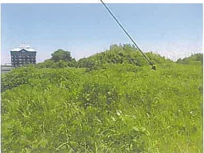 大分県大分市 大在駅7分 土地 786万円の競売物件情報 #20