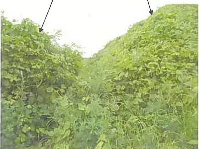 大分県大分市 大在駅7分 土地 786万円の競売物件情報 #22