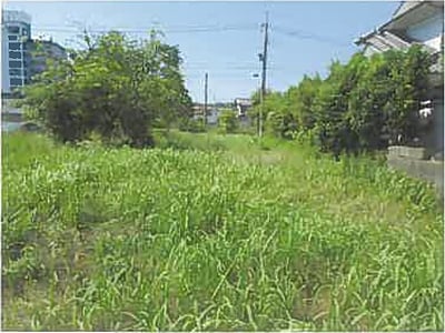 大分県大分市 大在駅9分 農地 1,013万円の競売物件情報 #7