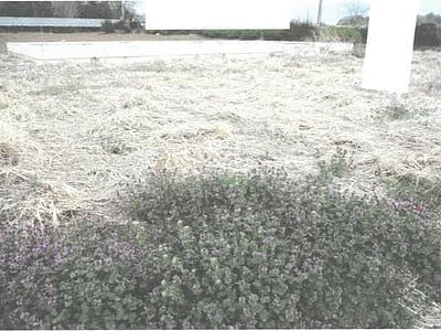 【値下げ】茨城県古河市 古河駅 土地 113万円の競売物件情報 #3