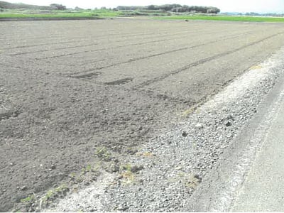 茨城県古河市 南栗橋駅 農地 78万円の競売物件情報 #4
