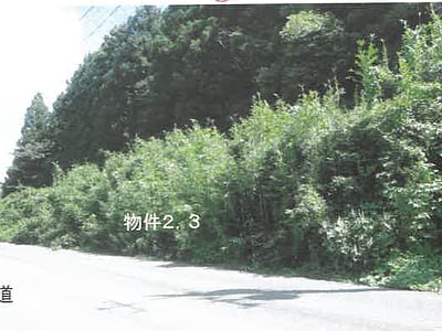 栃木県矢板市 野崎駅 農地 15万2,000円の競売物件情報 #1