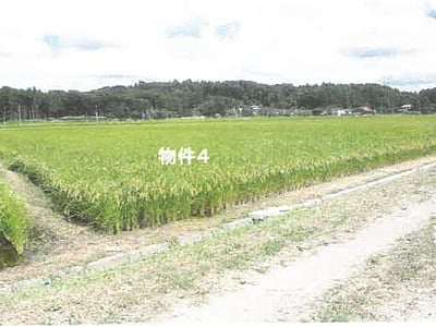 栃木県矢板市 野崎駅 農地 63万4,000円の競売物件情報 #1
