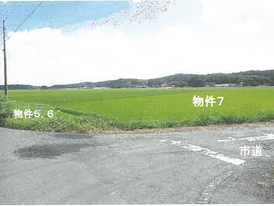 栃木県矢板市 野崎駅 農地 89万3,000円の競売物件情報 #1