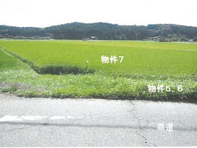 栃木県矢板市 野崎駅 農地 89万3,000円の競売物件情報 #4