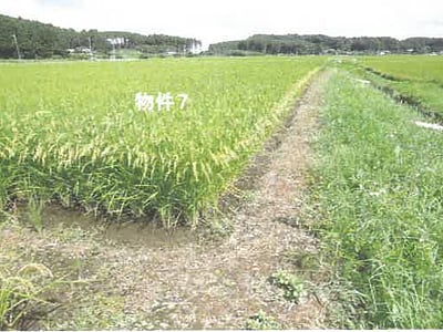 栃木県矢板市 野崎駅 農地 89万3,000円の競売物件情報 #6
