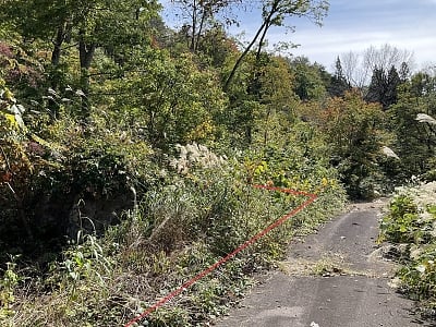 長野県北安曇郡白馬村 信濃森上駅 土地 393万円の官公庁公売物件情報 #1