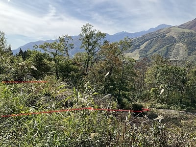 長野県北安曇郡白馬村 信濃森上駅 土地 393万円の官公庁公売物件情報 #2