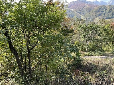 長野県北安曇郡白馬村 信濃森上駅 土地 393万円の官公庁公売物件情報 #4