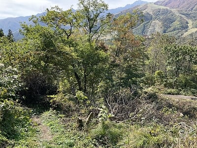 長野県北安曇郡白馬村 信濃森上駅 土地 393万円の官公庁公売物件情報 #5