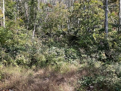 長野県北安曇郡白馬村 信濃森上駅30分 土地 305万7,000円の官公庁公売物件情報 #4