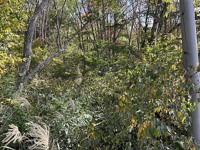 長野県北安曇郡白馬村 信濃森上駅30分 土地 314万3,000円の官公庁公売物件情報 #3