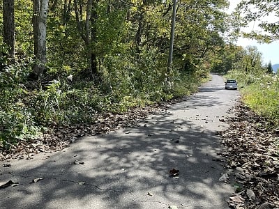 長野県北安曇郡白馬村 信濃森上駅30分 土地 314万3,000円の官公庁公売物件情報 #4