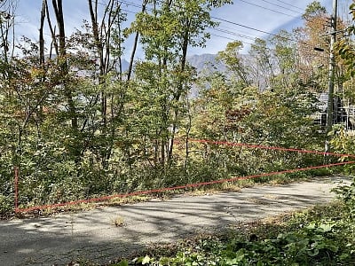 長野県北安曇郡白馬村 信濃森上駅30分 土地 99万8,000円の官公庁公売物件情報 #1