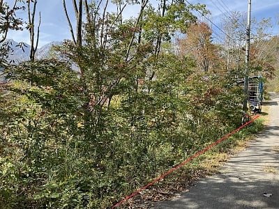 長野県北安曇郡白馬村 信濃森上駅30分 土地 99万8,000円の官公庁公売物件情報 #2