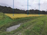 宮城県登米市 28万円 農地 2,999㎡
