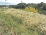 長崎県諫早市 44万円 農地 2,108㎡