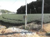 静岡県牧之原市 167万円 農地 4,418㎡