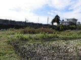 群馬県渋川市 38万円 農地 680㎡